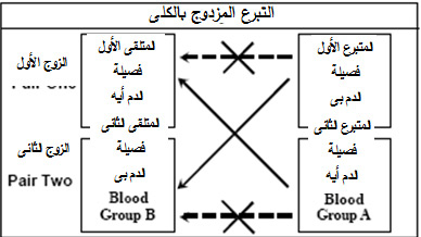زرع الكلى in Arabic Language
