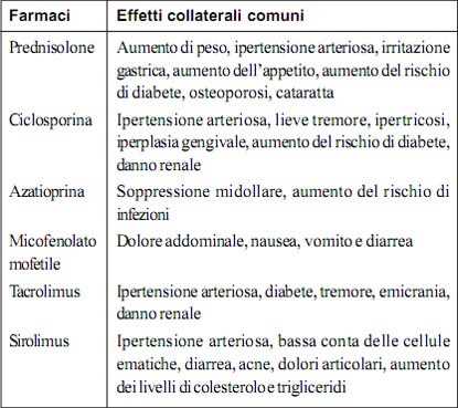 Kidney and its Function in Italian Language