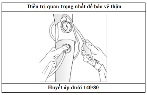 Urine Formation
