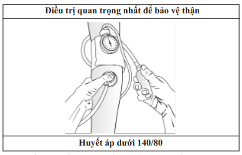 Urine Formation