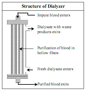 Dialysis in spanish Language